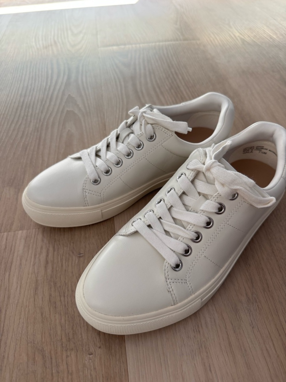 Clean White Low-Top Sneakers